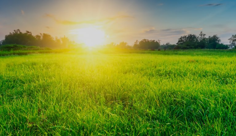 BSI ISO 14001 - Environmental Management System (EMS)