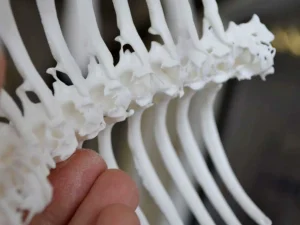 3d print cat scan feature 3d print uk