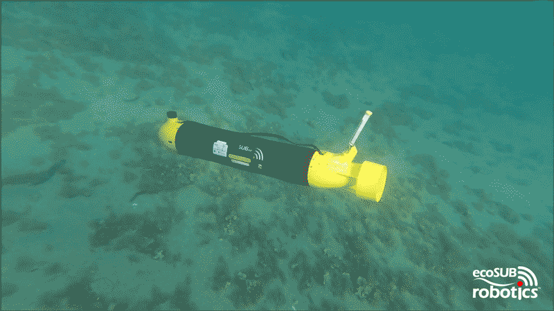 ecoSUBm5-short7-wm