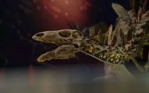 3dprintuk natural history museum new discovery case study