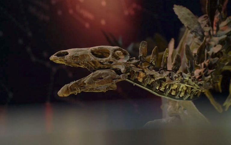 3dprintuk-natural-history-museum-new-discovery-case-study