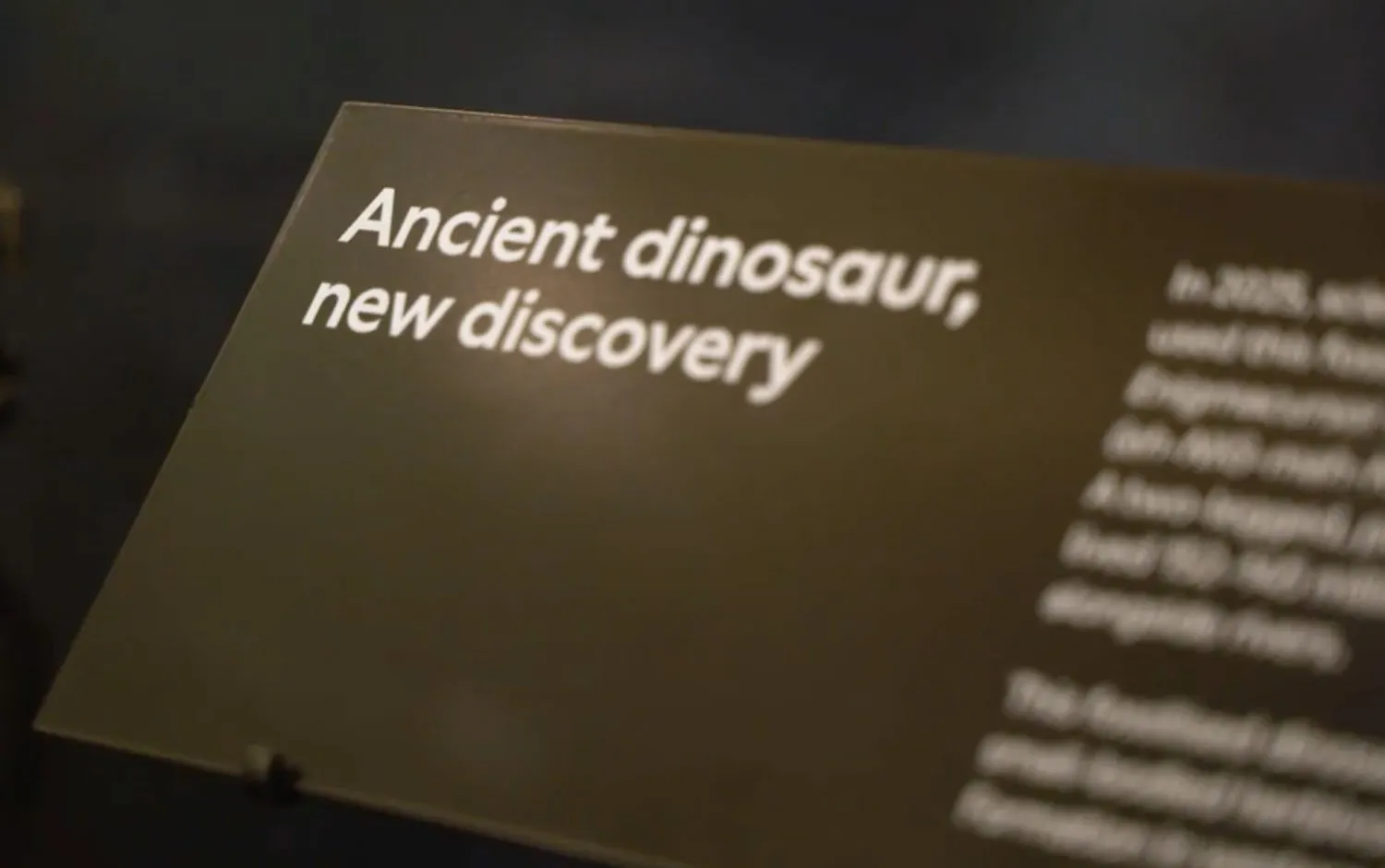 Bringing a New Dinosaur to Life with The Natural History Museum 1 plaque inside the natural history museum reading ancient dinosaur new discovery