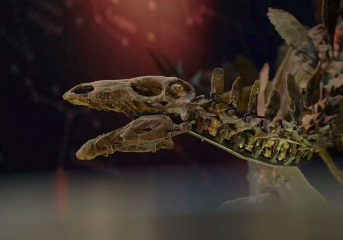 3dprintuk-natural-history-museum-new-discovery-case-study